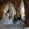 The Ultimate Guide to Guest Limits at Wedding Venues in Chevy Chase, MD
